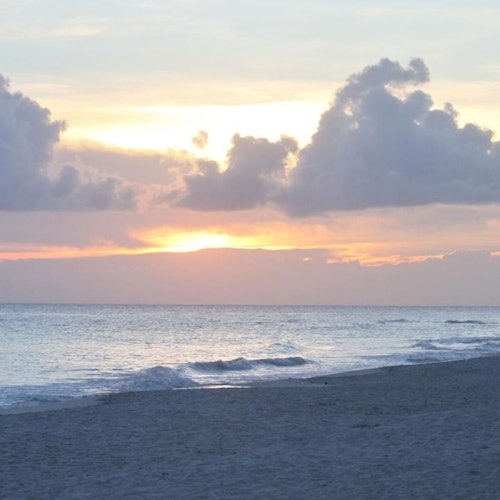 Isla Saona: VIP Tour tickets in Punta Cana