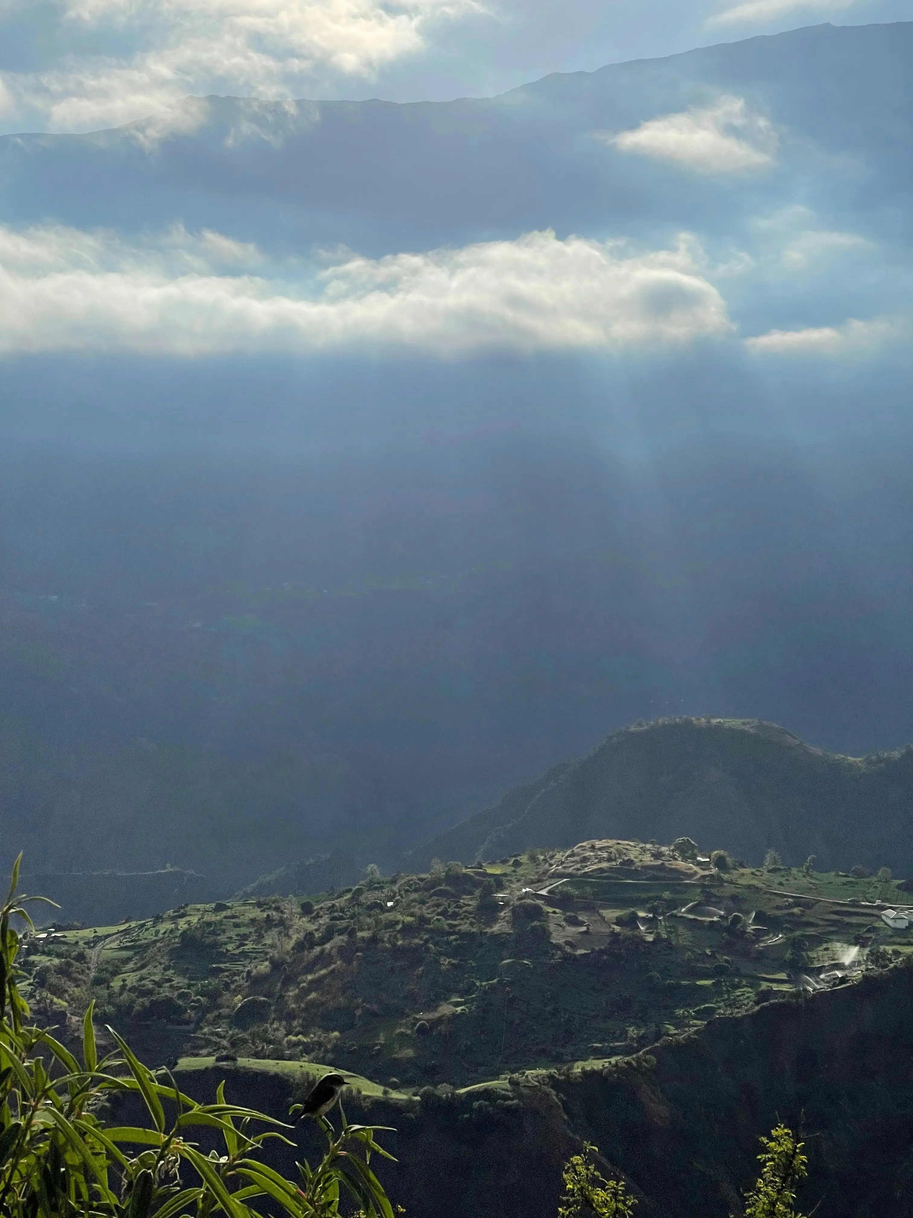 A breathtaking sunset over Réunion Island’s volcanic landscapes, where lush forests meet the Indian Ocean—an exclusive retreat for visionaries seeking inspiration and connection, far from the ordinary.