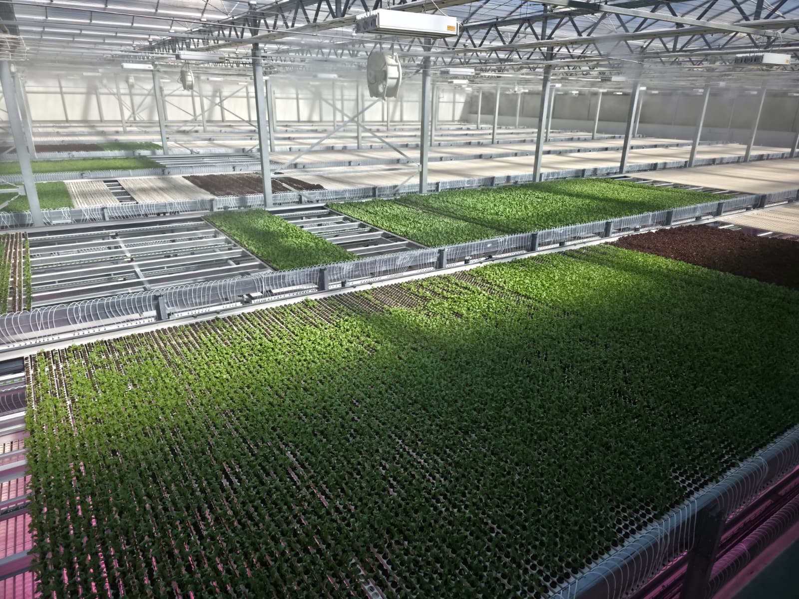 Horti XS B.V. Project The little garden | 0.5 ha