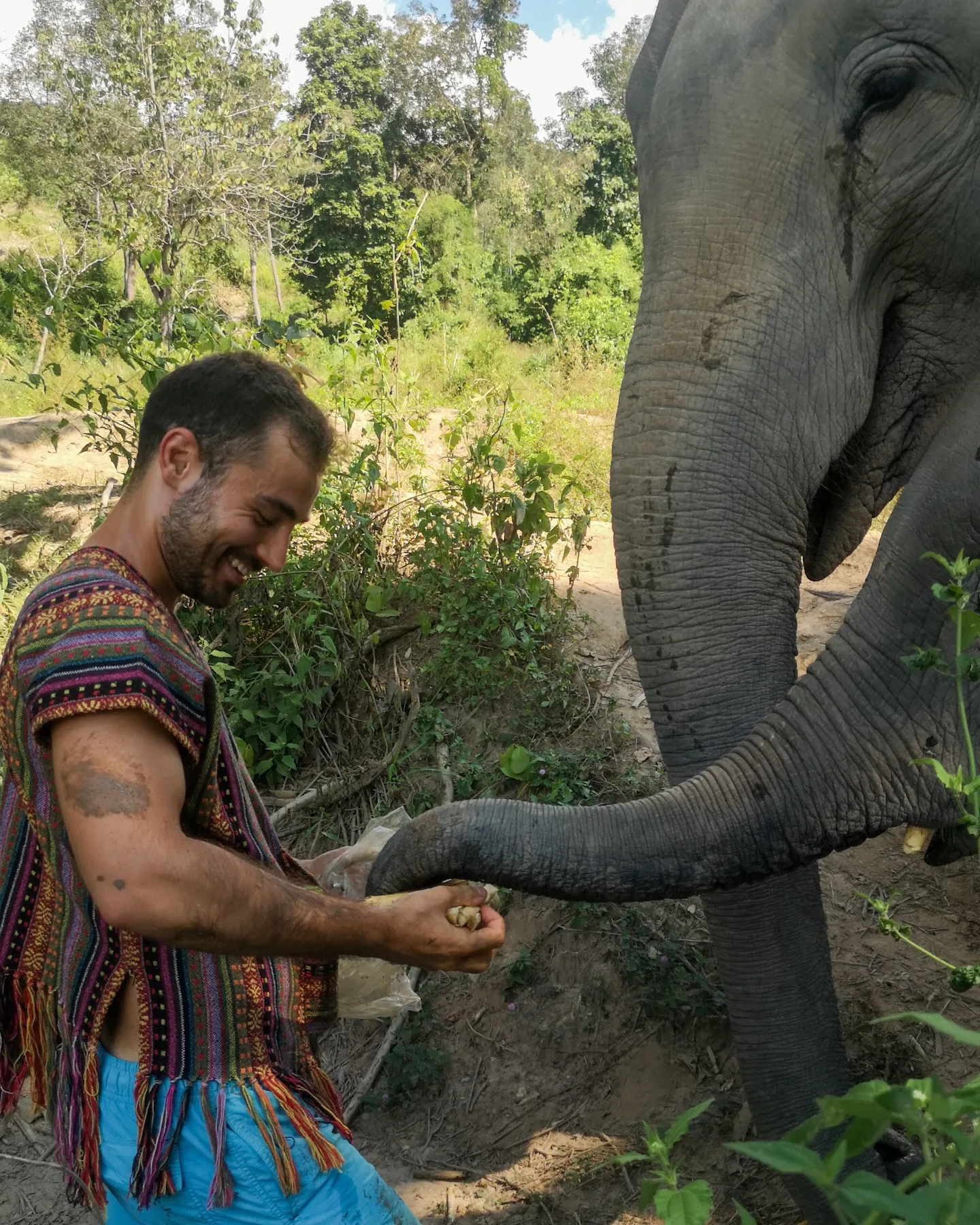 The image featured at the top of the about us page #1