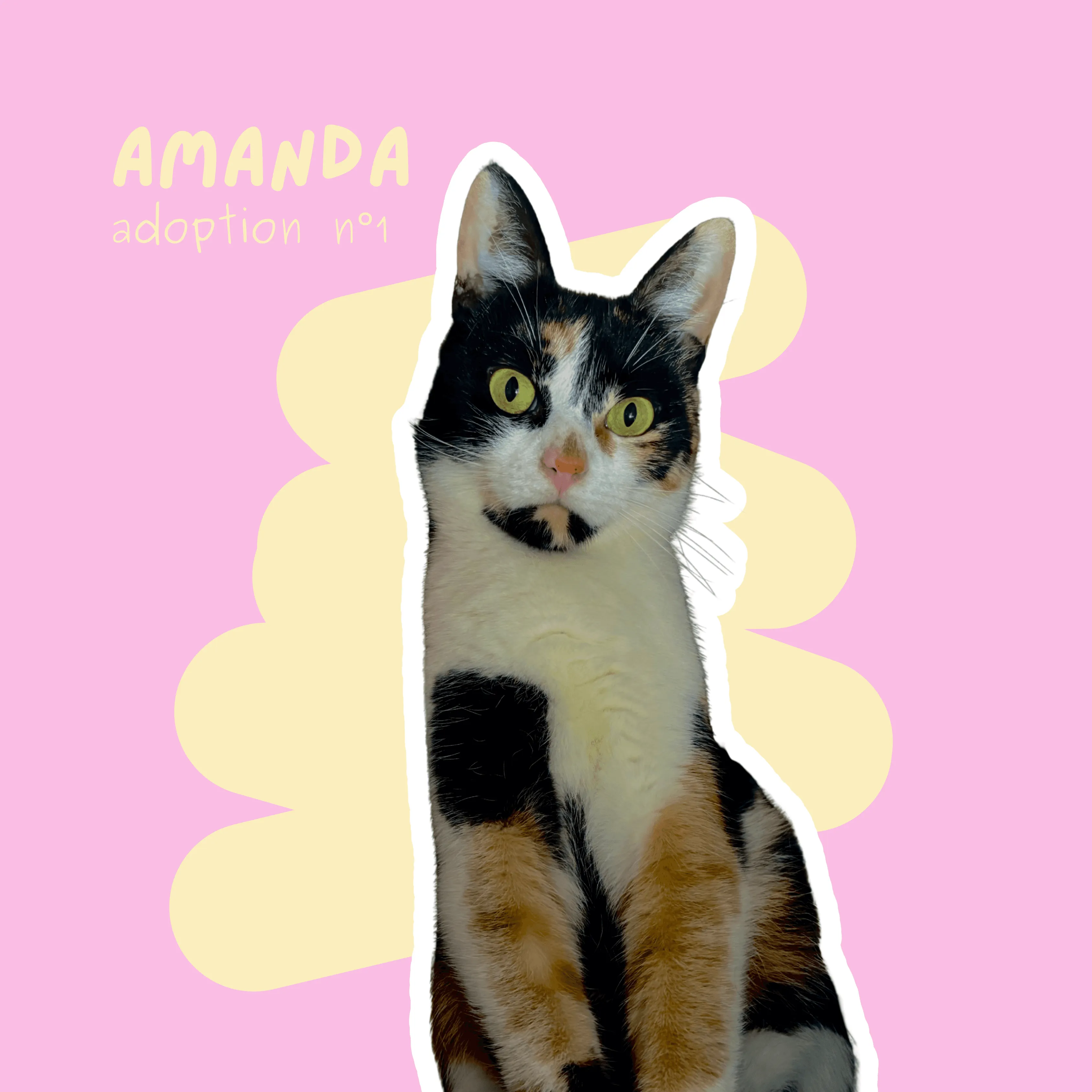 chat-amanda