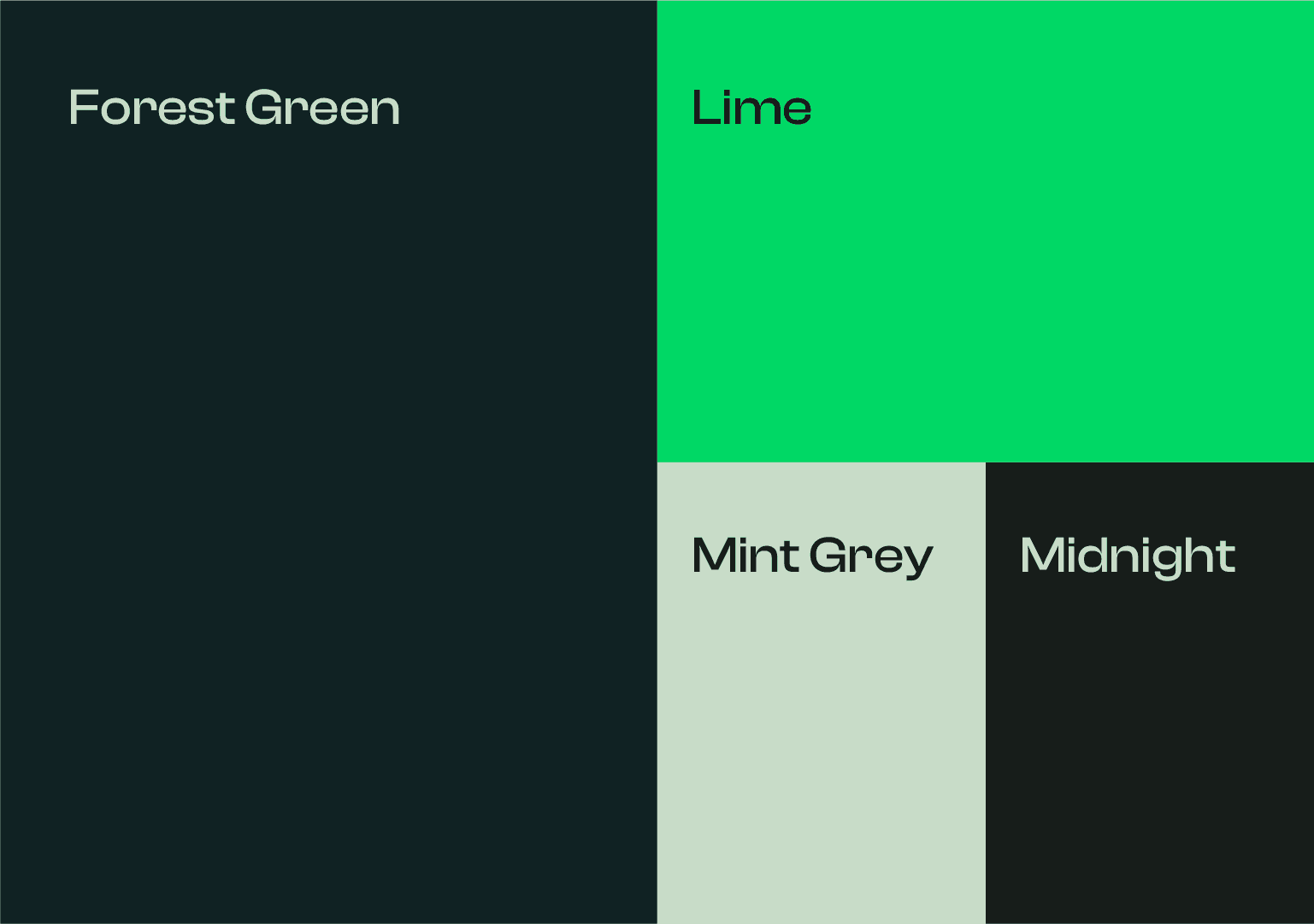 The Belora color palette