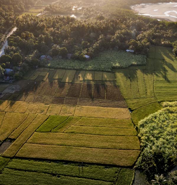 Regularização Ambiental | RURALPLAN
