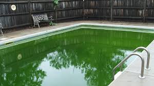What Causes Strong Chlorine Smell in Pools