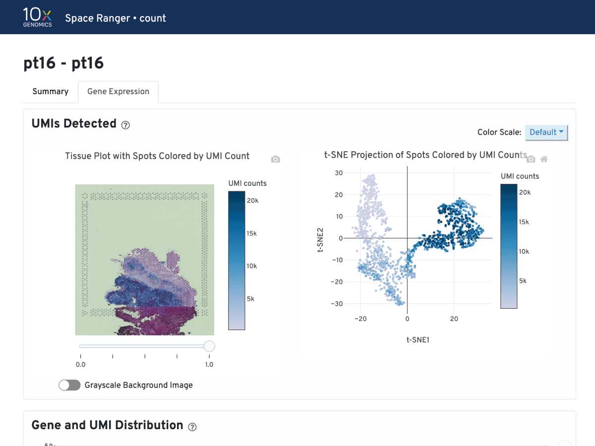 10x Genomics analysis showing Visium Data Processing