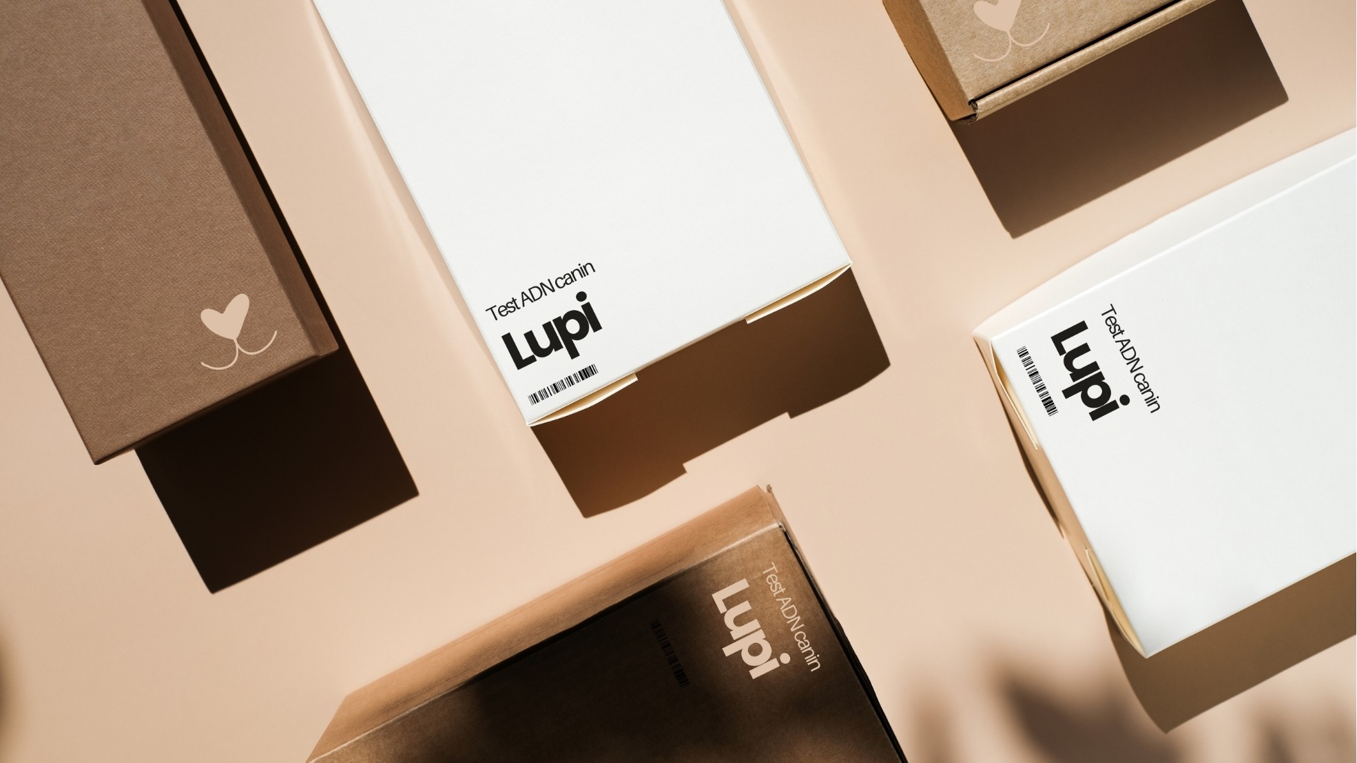 A group of four people engaged in a discussion while seated in a cozy, plant-filled setting.