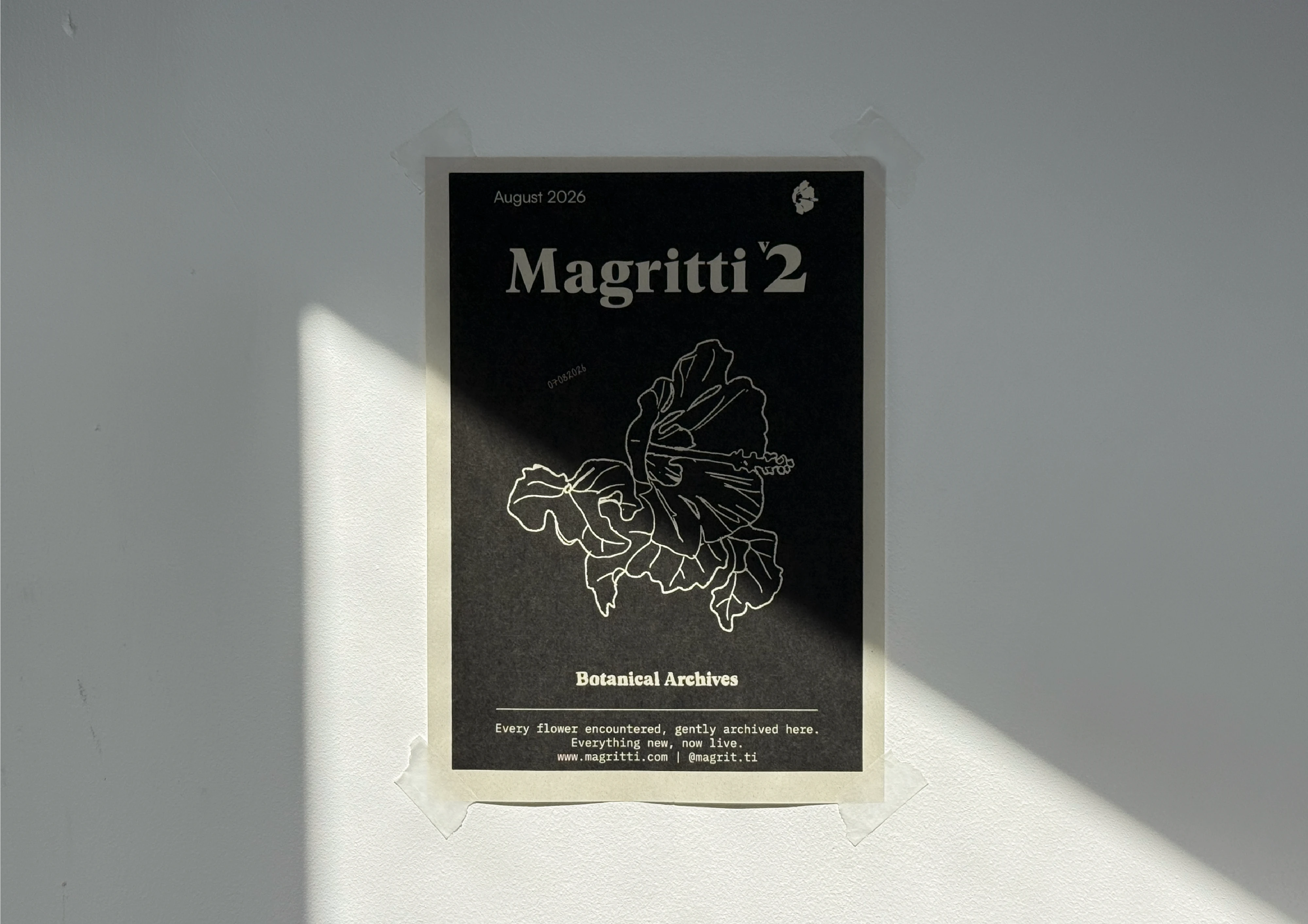 Poster printed on off-white paper and taped to a pale wall, half of it in diagonal sunlight. A hibiscus in single-line outline sits between the Magritti wordmark with a version numeral and the line Botanical Archives.