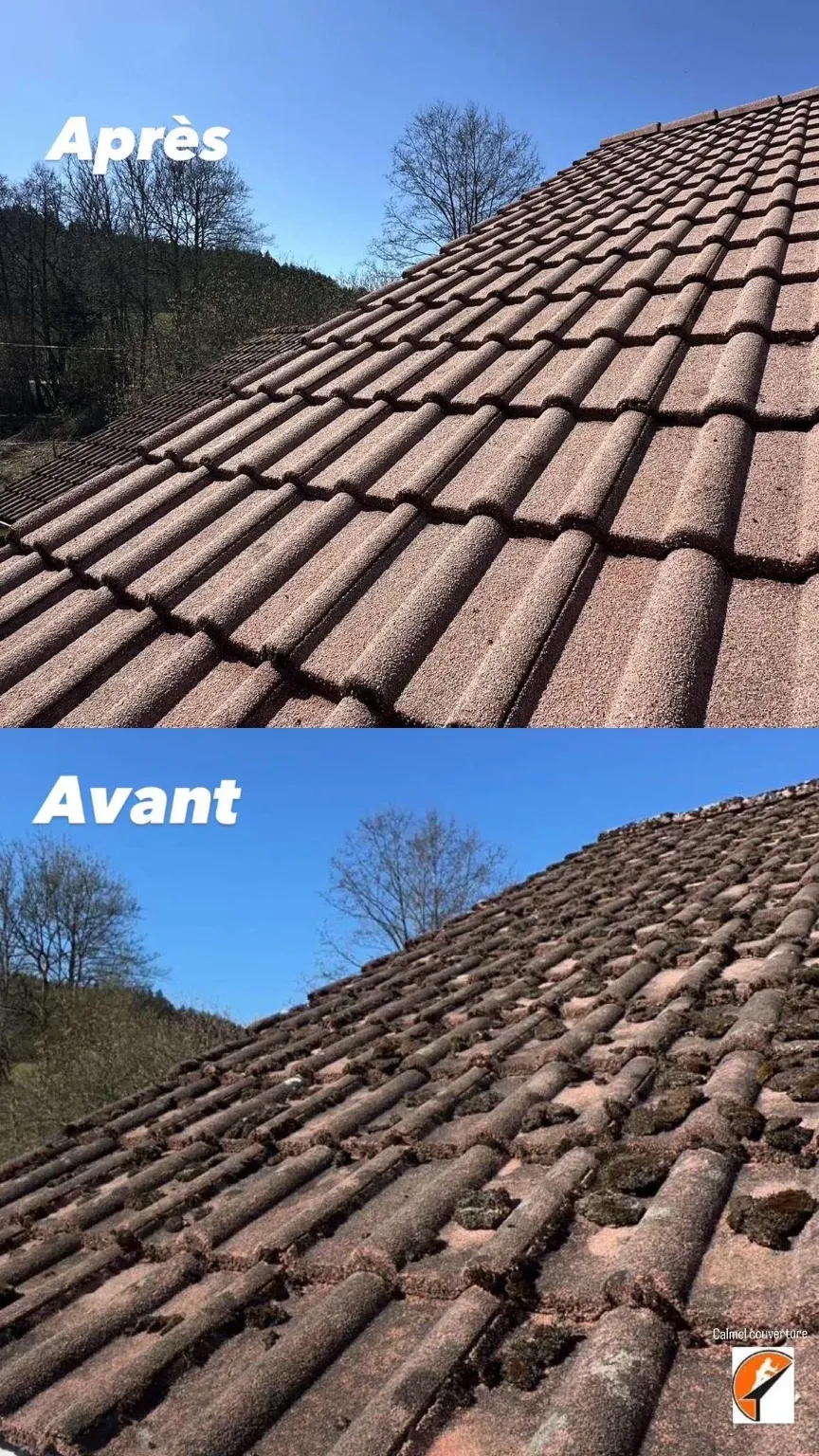 Nettoyage toiture avant/après