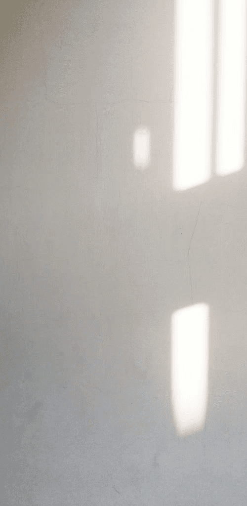 BĒBOHĀ - Hero Image