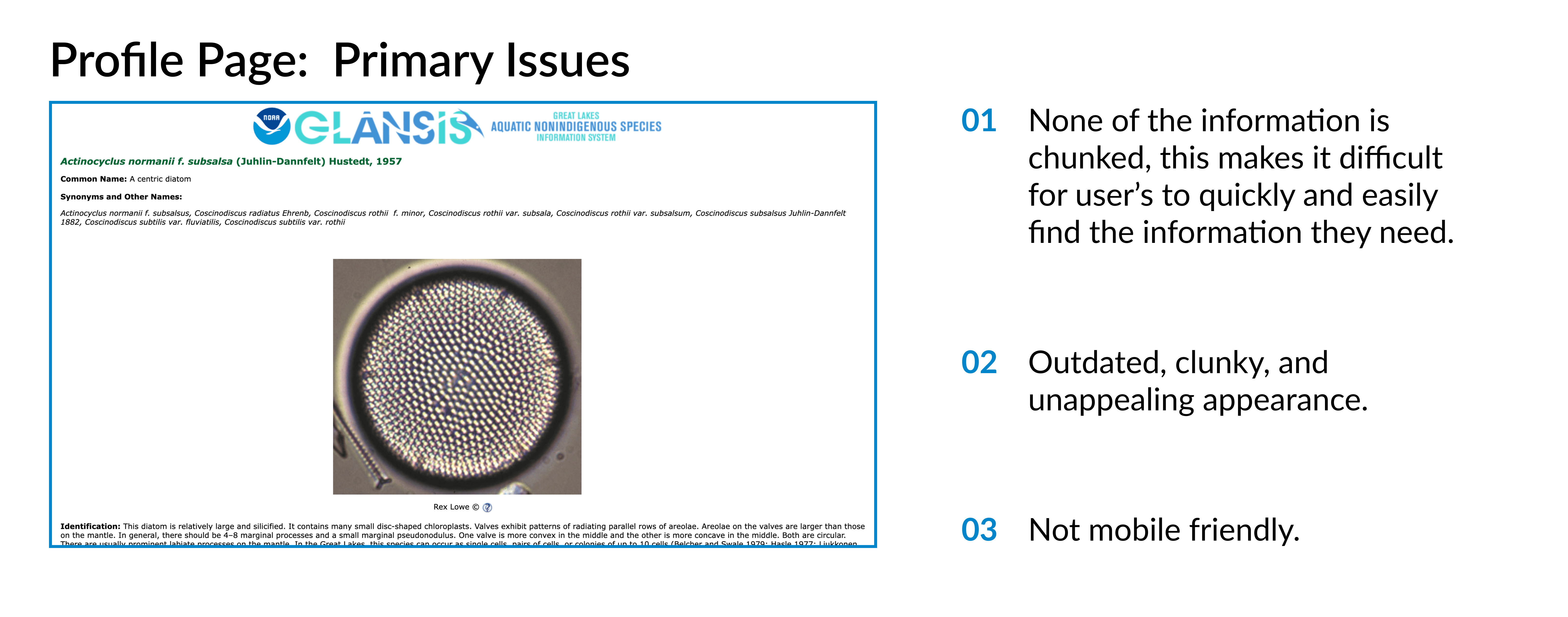An audit of the issues with the current design for the GLANSIS profile page.