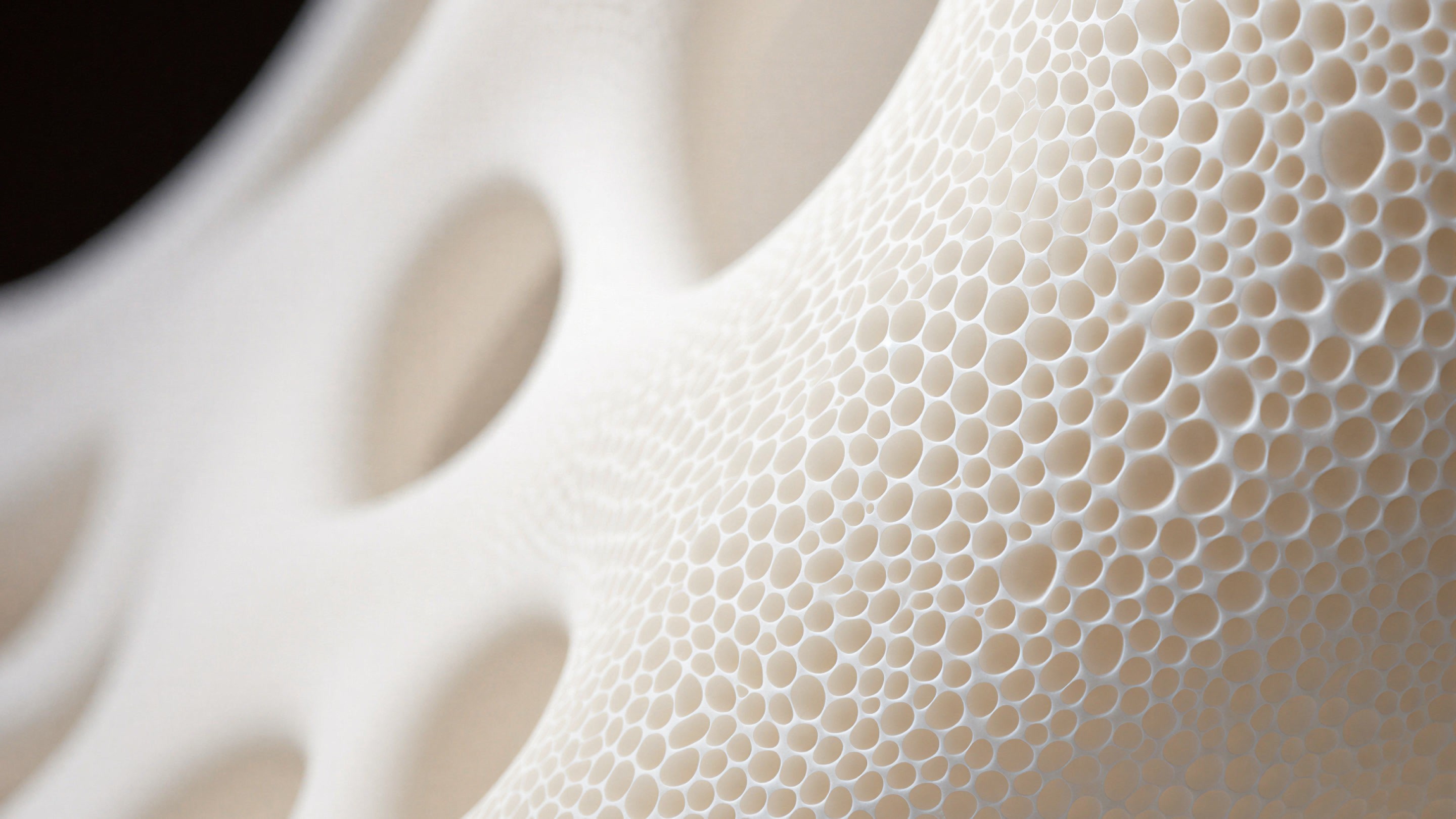 Early bone density screening at Biograph for women focused on long-term health and mobility