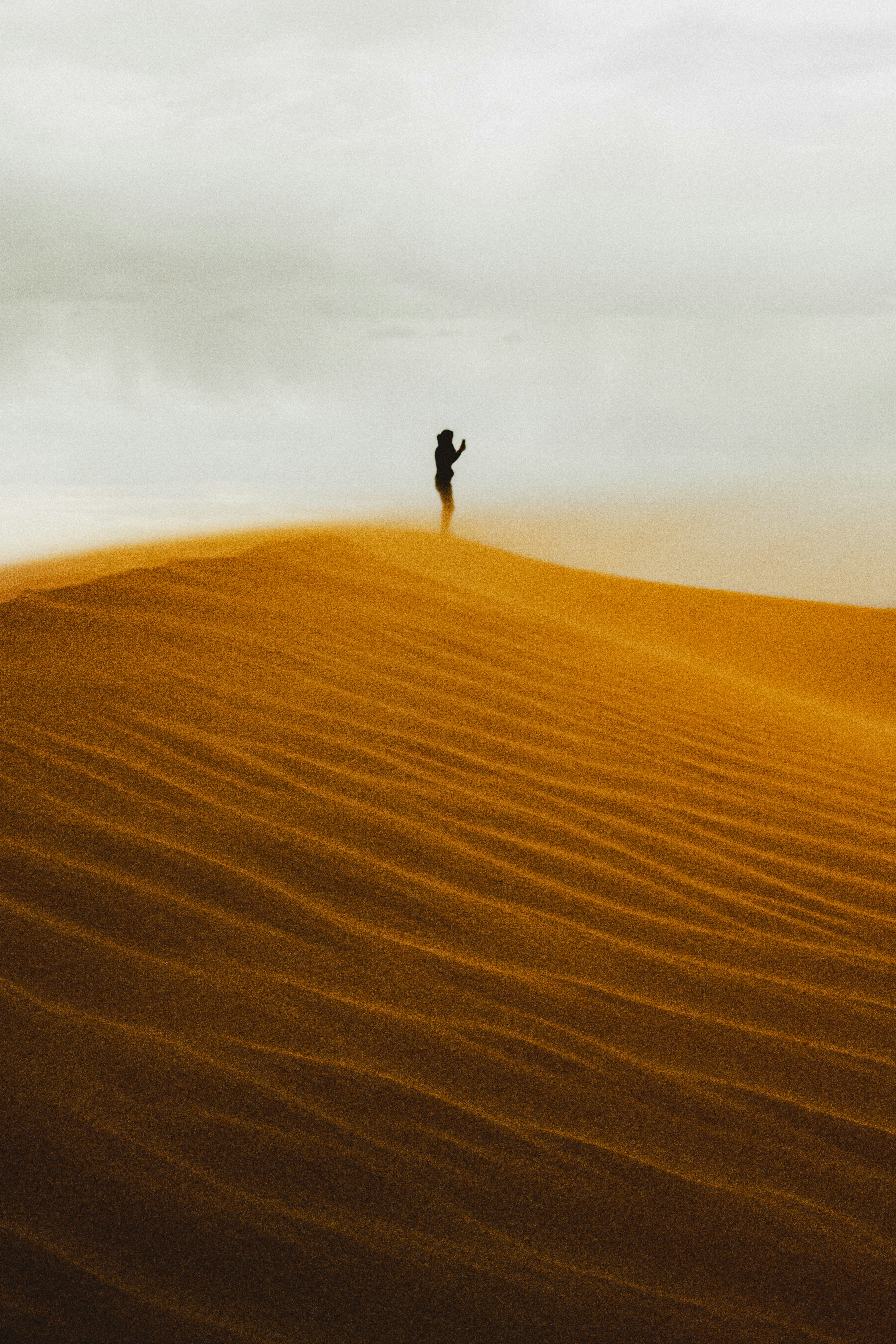 A solitary silhouette stands atop a vast, golden sand dune under a cloudy, overcast sky, evoking a sense of isolation and introspection in a serene desert landscape.