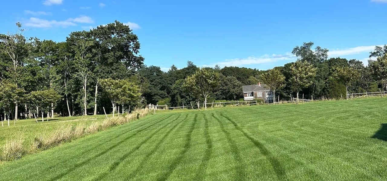 Striped lawn in front of a Long Island home