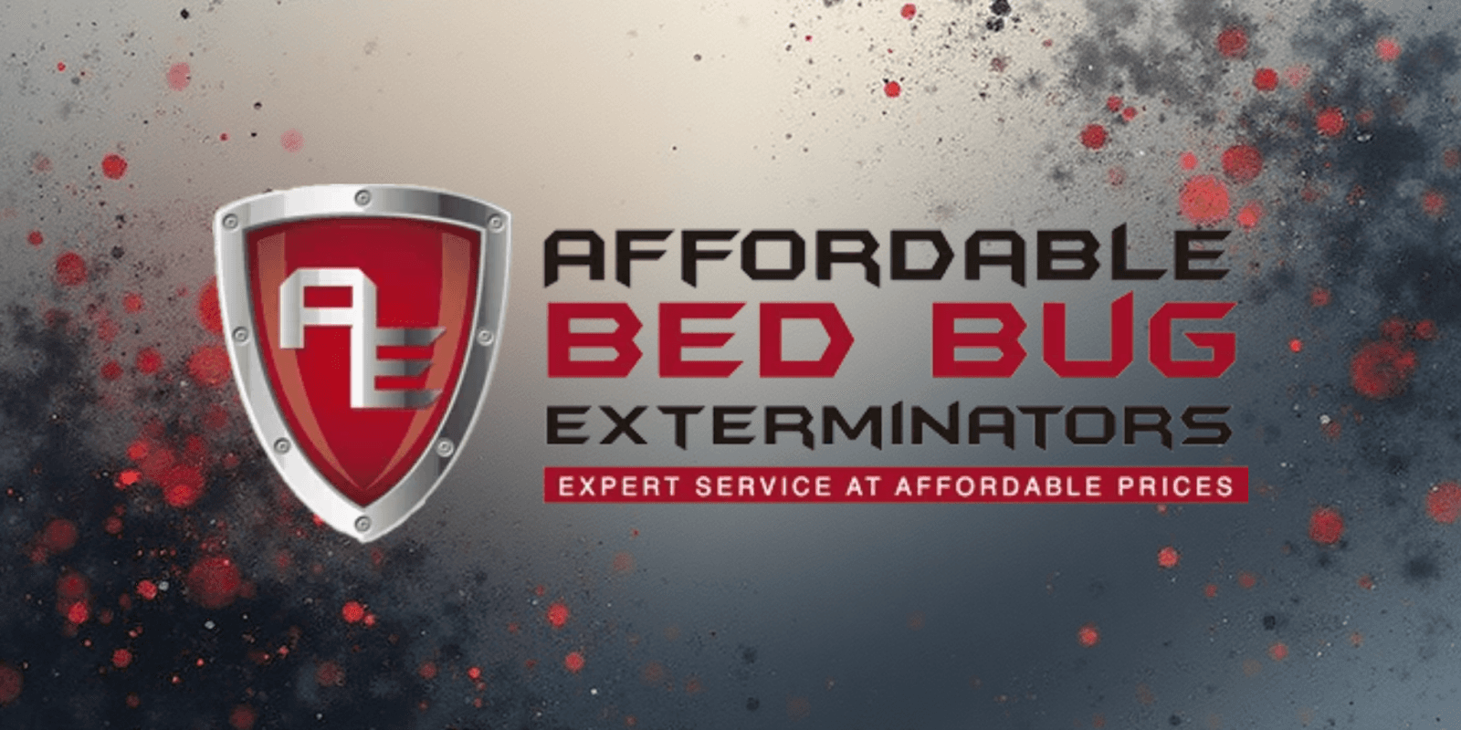 Douglas Lenski, founder of Affordable Bed Bug Exterminators, leading the charge in specialized bed bug removal services.