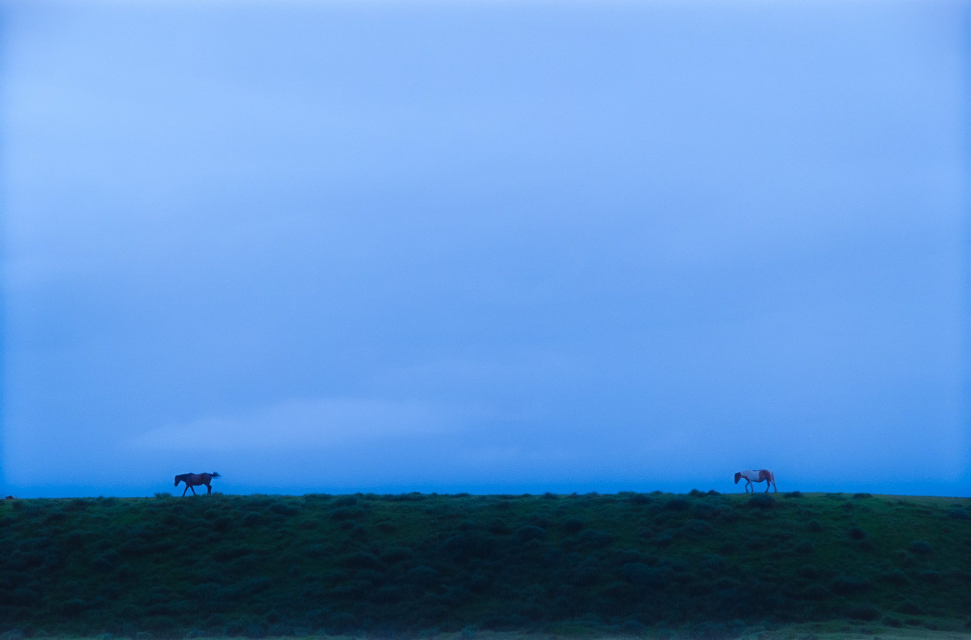 Taisei Matsumoto, archive random photograph 051