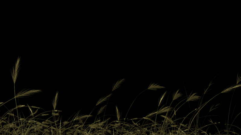 Animated Grass Layer