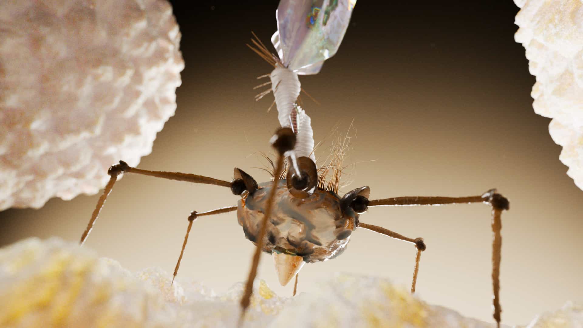 Mainframe medical work: microscopic phage moa sequence in a photorealistic molecular style for pharmaceutical campaigns.