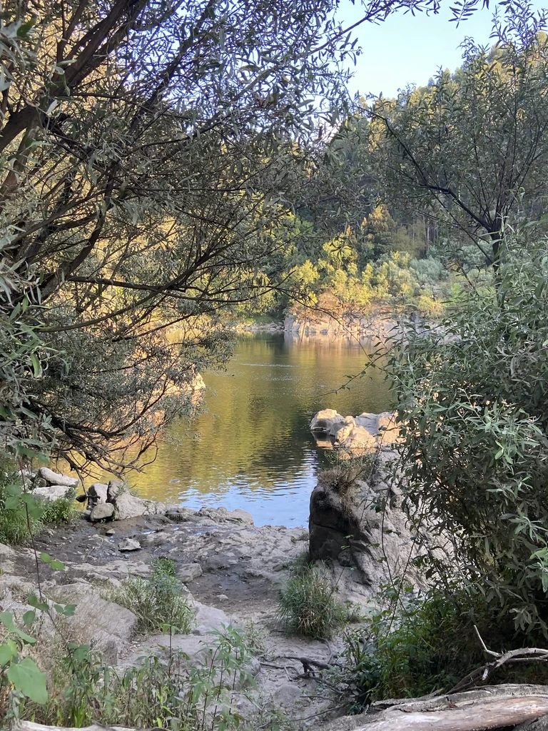 Entorno natural de Casa Cruceiro rodeado de viñedos y naturaleza en el Valle del Miño