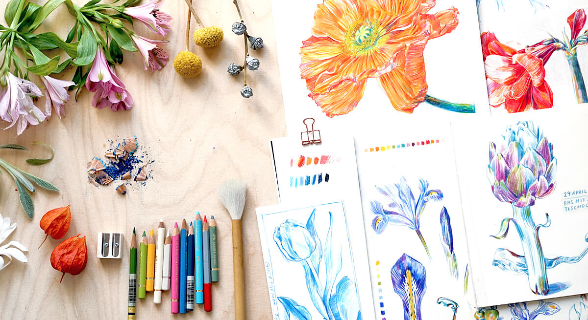 Foto eines Flatlays von Zeichenmaterial und botanischen Zeichnungen auf einem Tisch