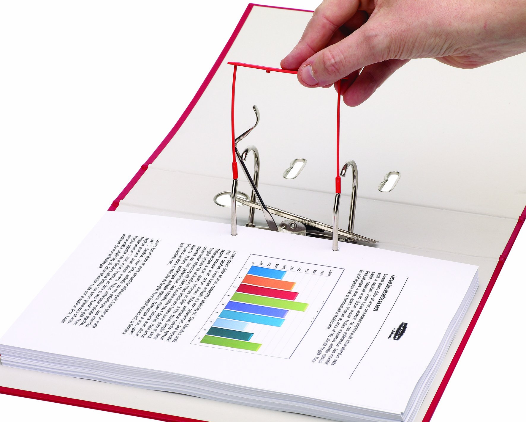 company culture Australia, high growth culture Melbourne, workplace values Australia, culture strategy advisory