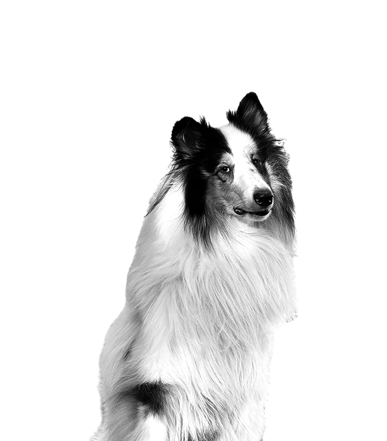 Henkilöstö - Maiju 1