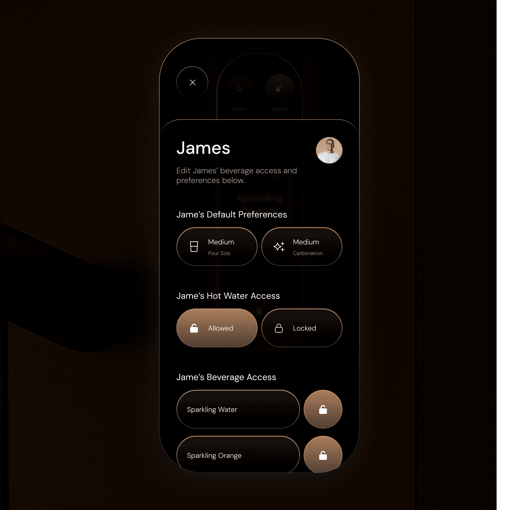 Preferences screen on the mobile UI.