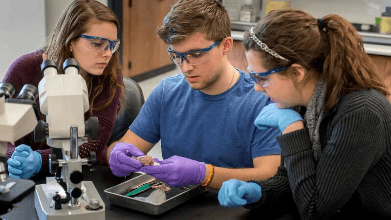 High school student conducting neuroscience research in a university laboratory setting