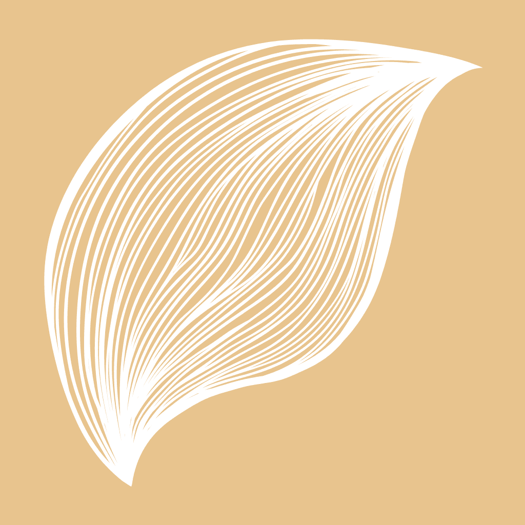 Orange leaf line drawing