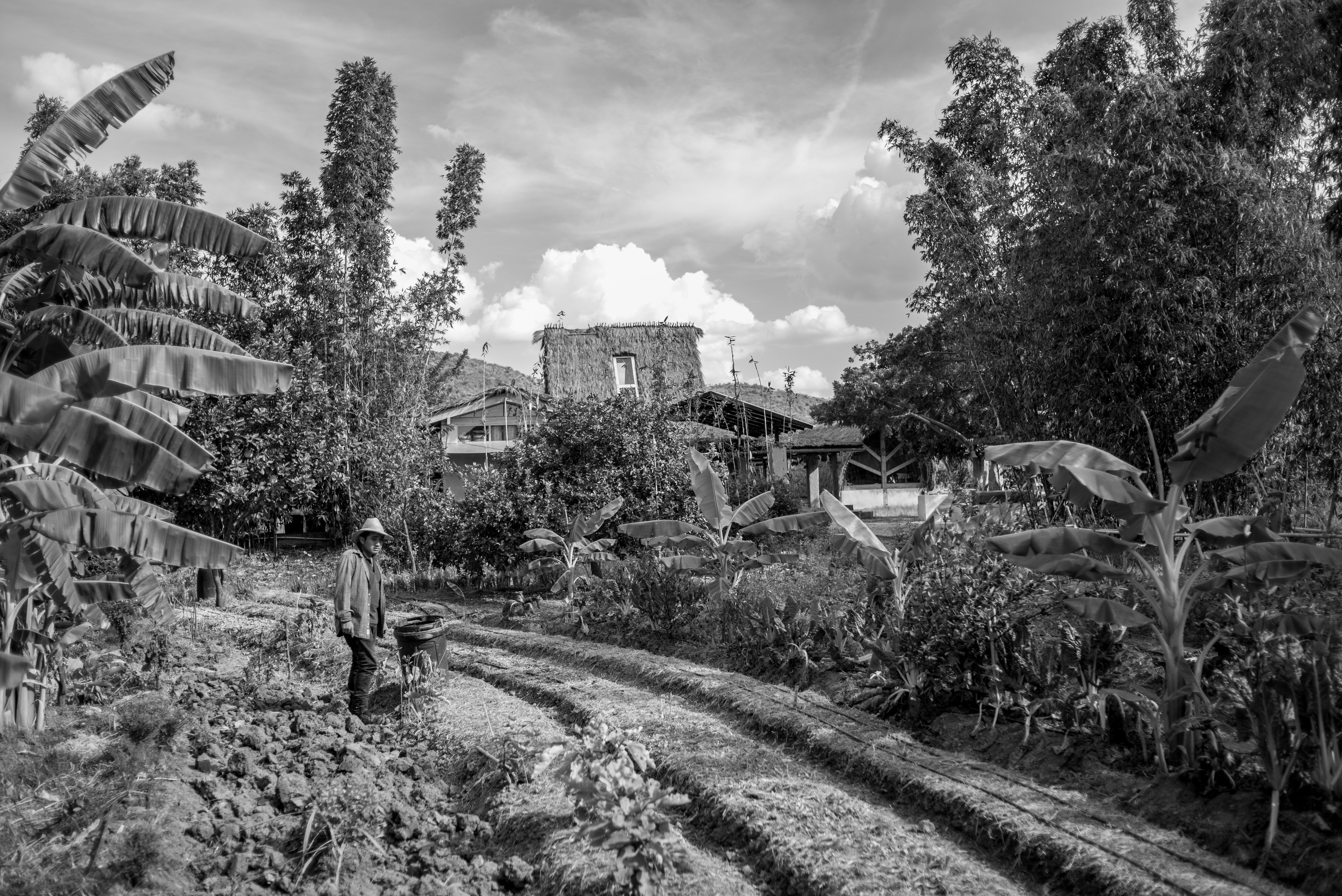 Trusted section Image