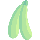 Zucchina
