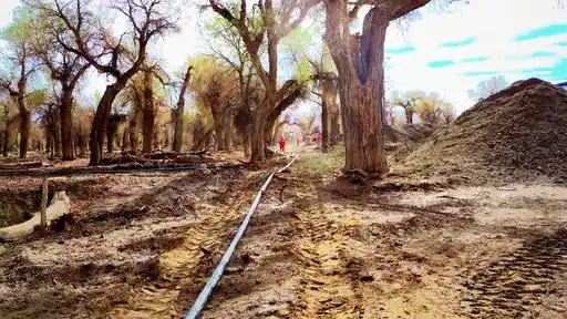 RTP surface line being deployed an a tight area with trees