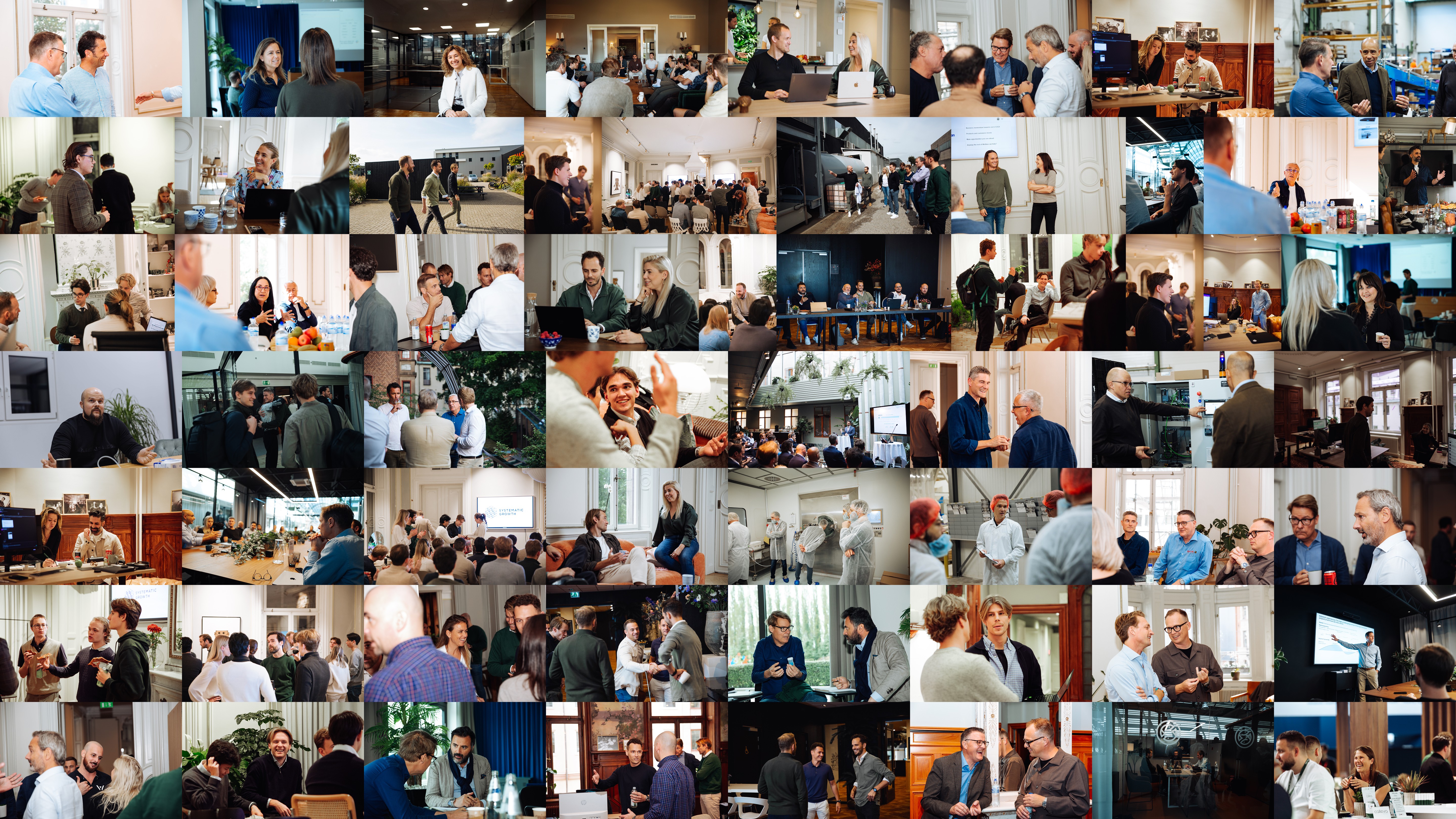 Snow-covered pine trees with sunset light shining through.