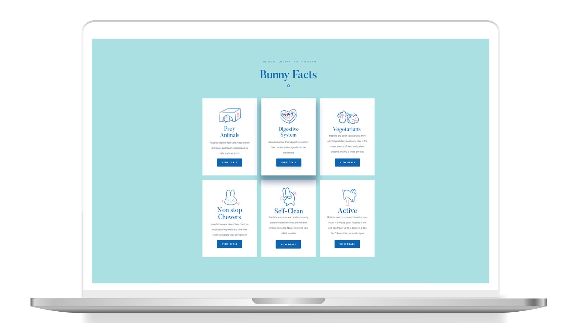 A laptop screen displays a webpage titled "Bunny Facts" with a light blue background and white text. The page features four sections: "Prey Animals," "Digestive System," "Non-Stop Chewers," and "Active." Each section includes an icon, a brief description, and a blue "VIEW DEAL" button. A silver laptop is positioned below the screen.