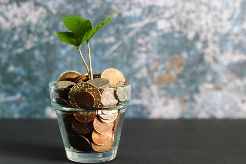 Glass jar filled with coins and a plant growing, symbolizing financial growth and investment.