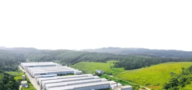 广阔的航拍视角展现了金翼食品现代化的蛋制品加工设施，坐落于郁郁葱葱的青山之间。