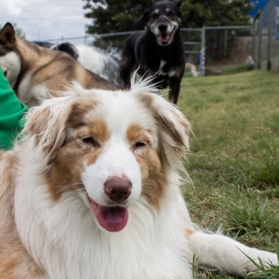three products on a table