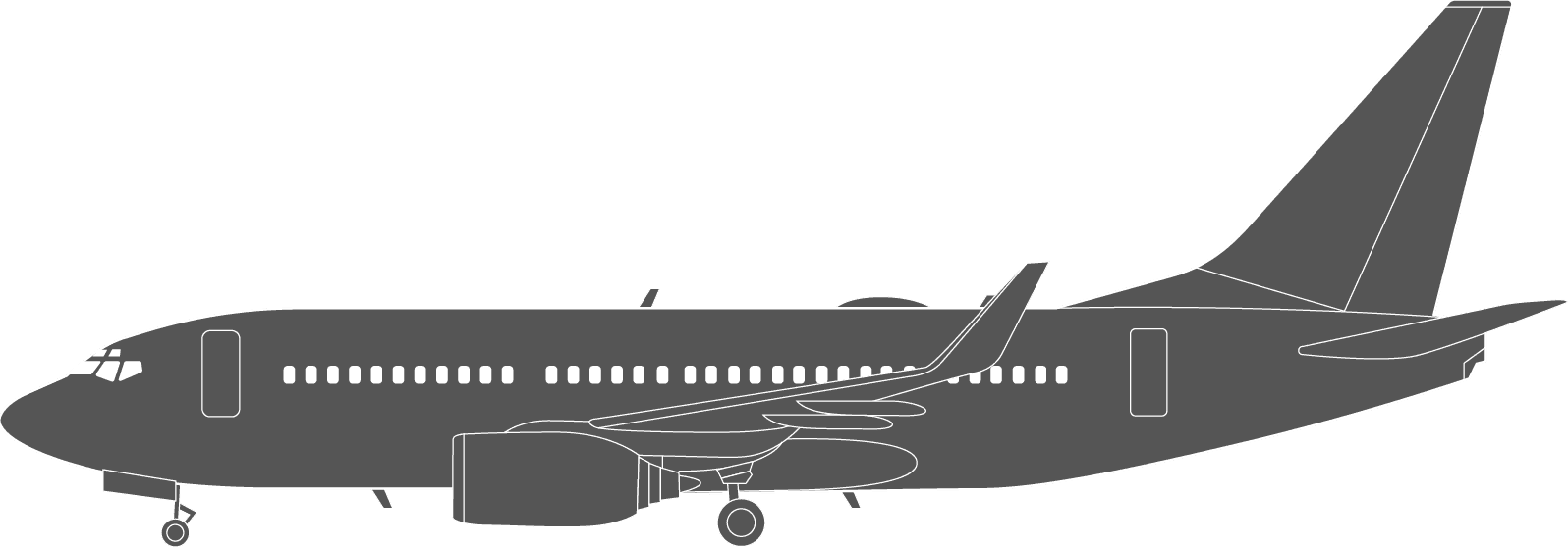 Boeing BBJ 737 Icon