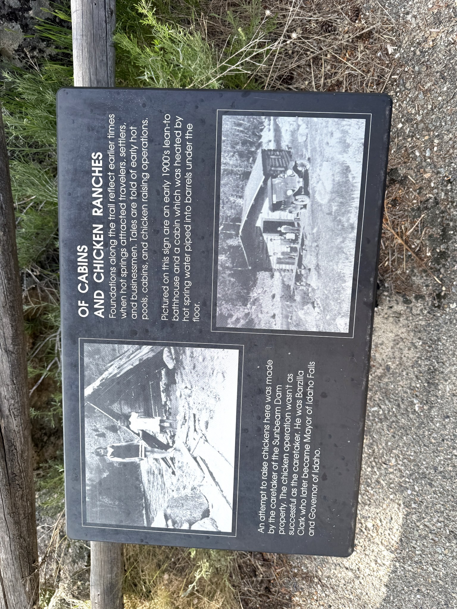 Historical interpretive sign on homesteader and logging history near Stanley, Idaho