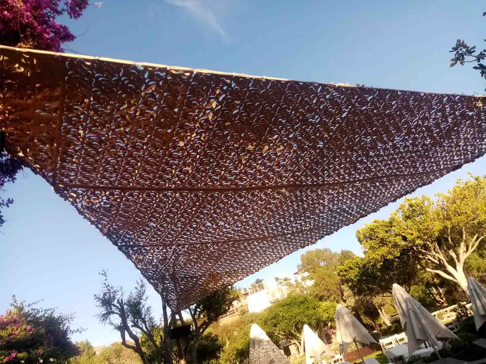 woman holding a phone and man looking at the phone. both are smiling