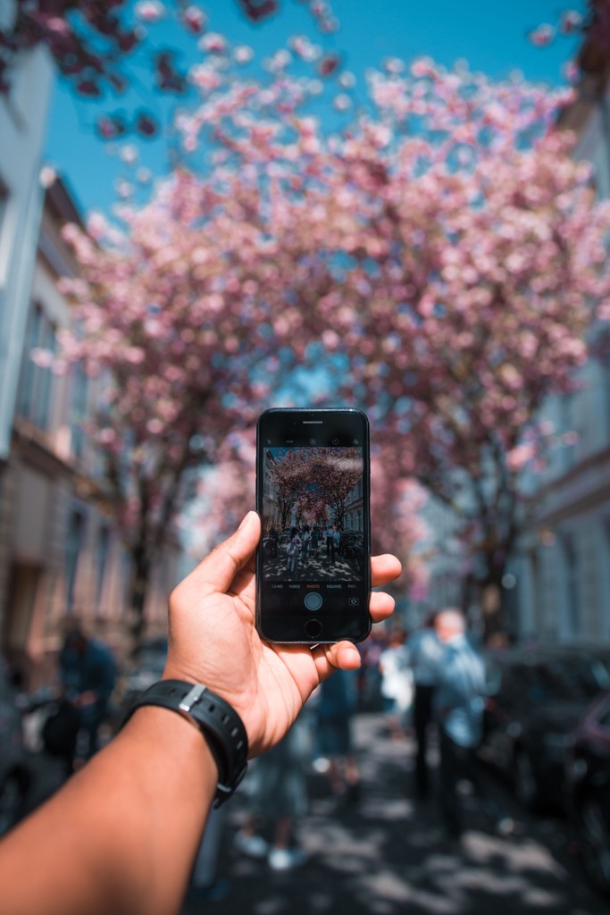 smartphone taking a photo out of focus