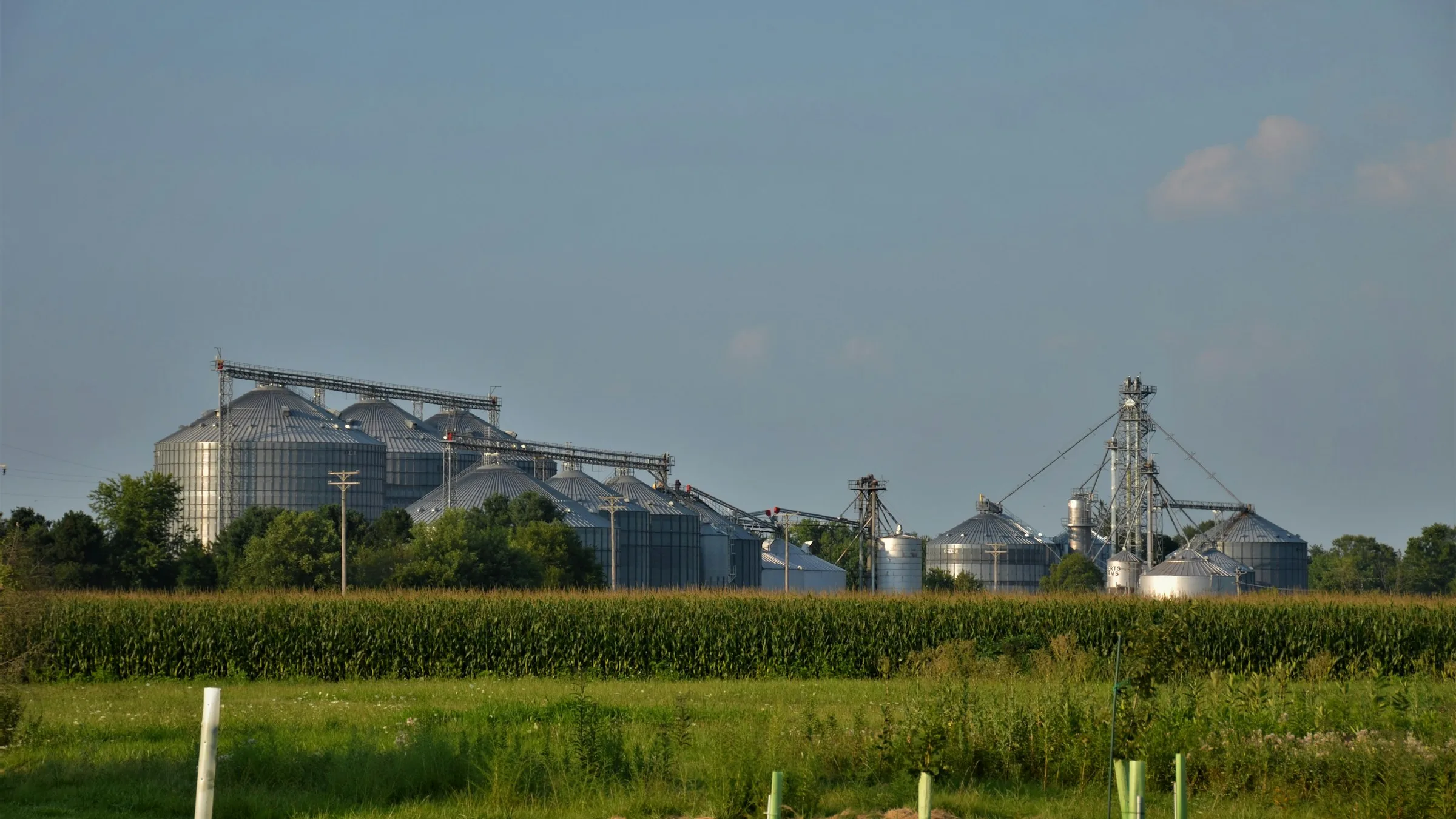Ethanol plant with grain bins and processing towers beyond a green corn field