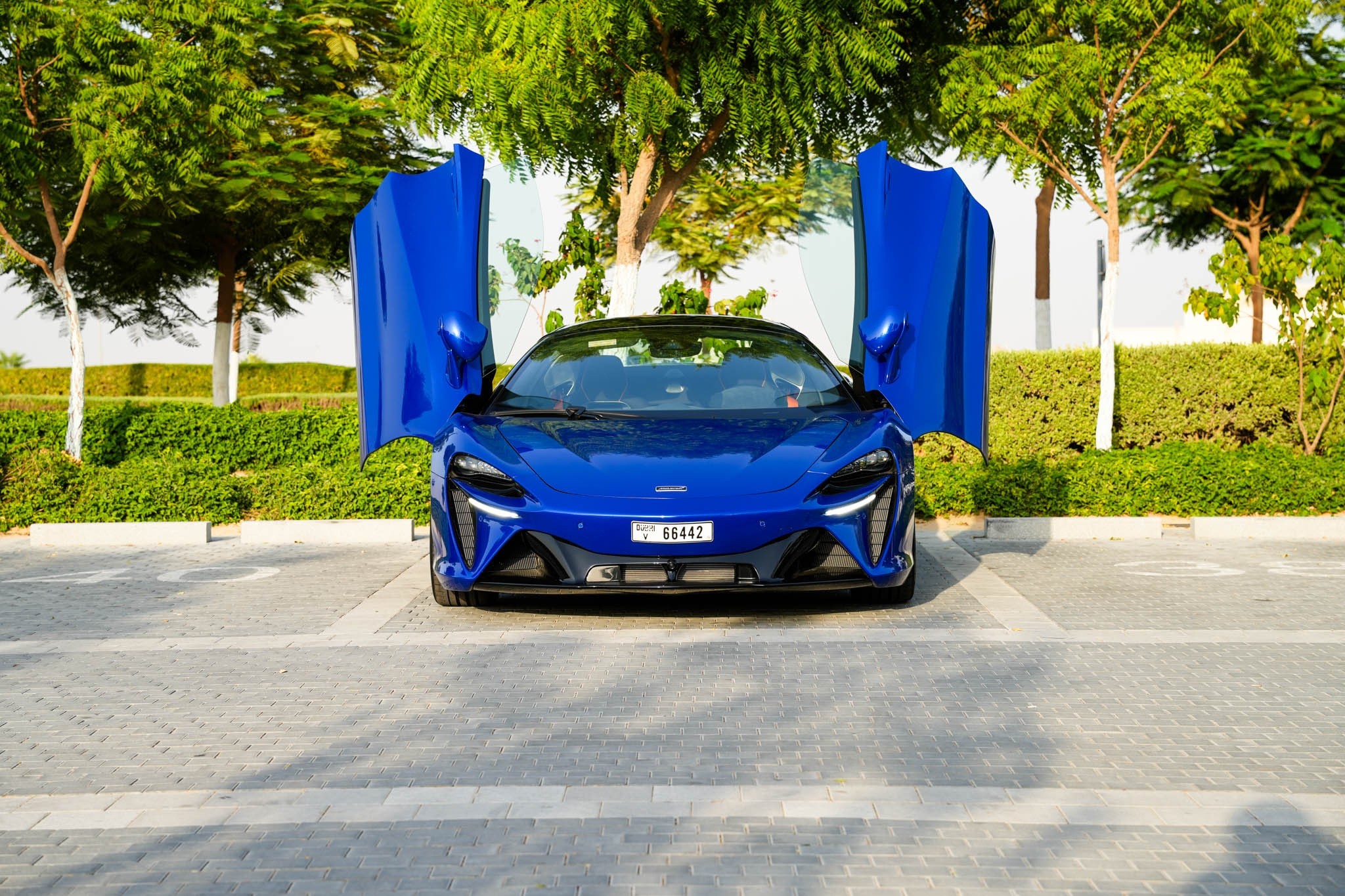 modern house with big windows