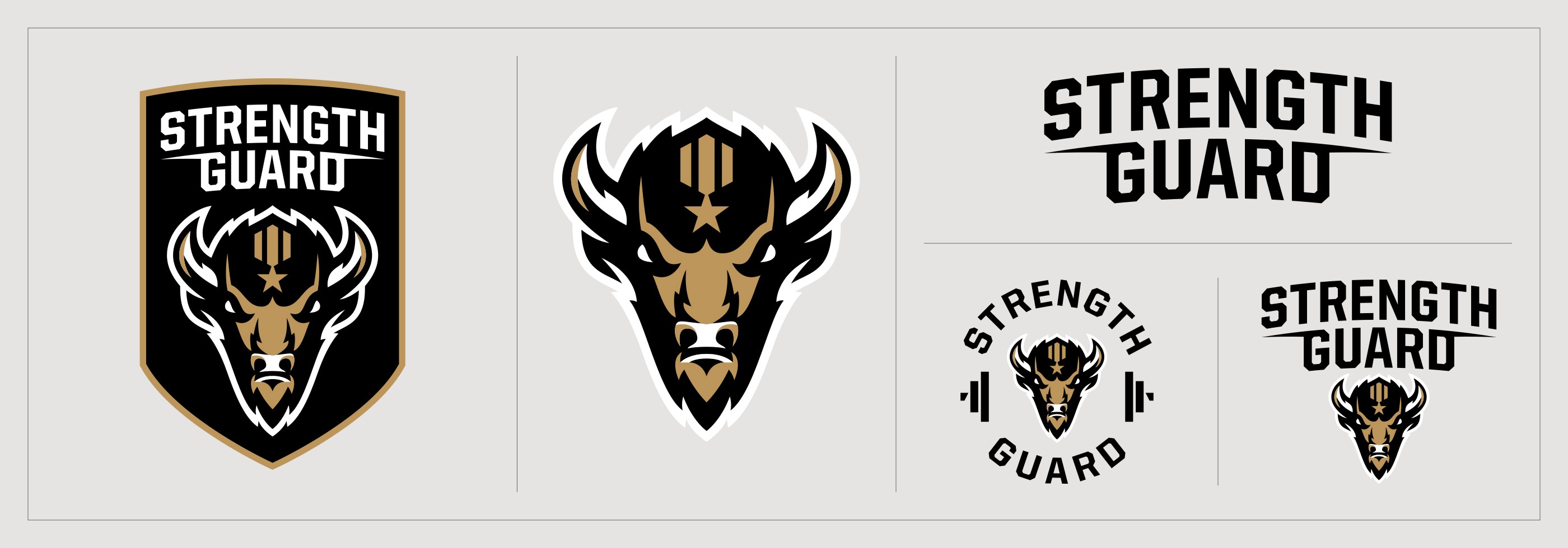 Strength Guard logo system on light background.