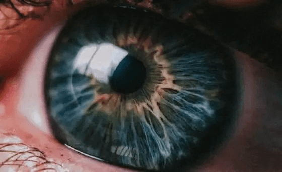Vision