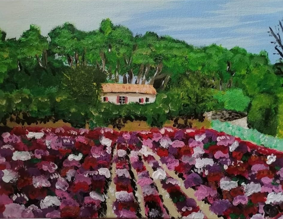 Provence en fleurs