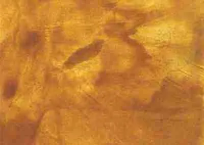 Stain Color Samples - Antique Tan On Grey