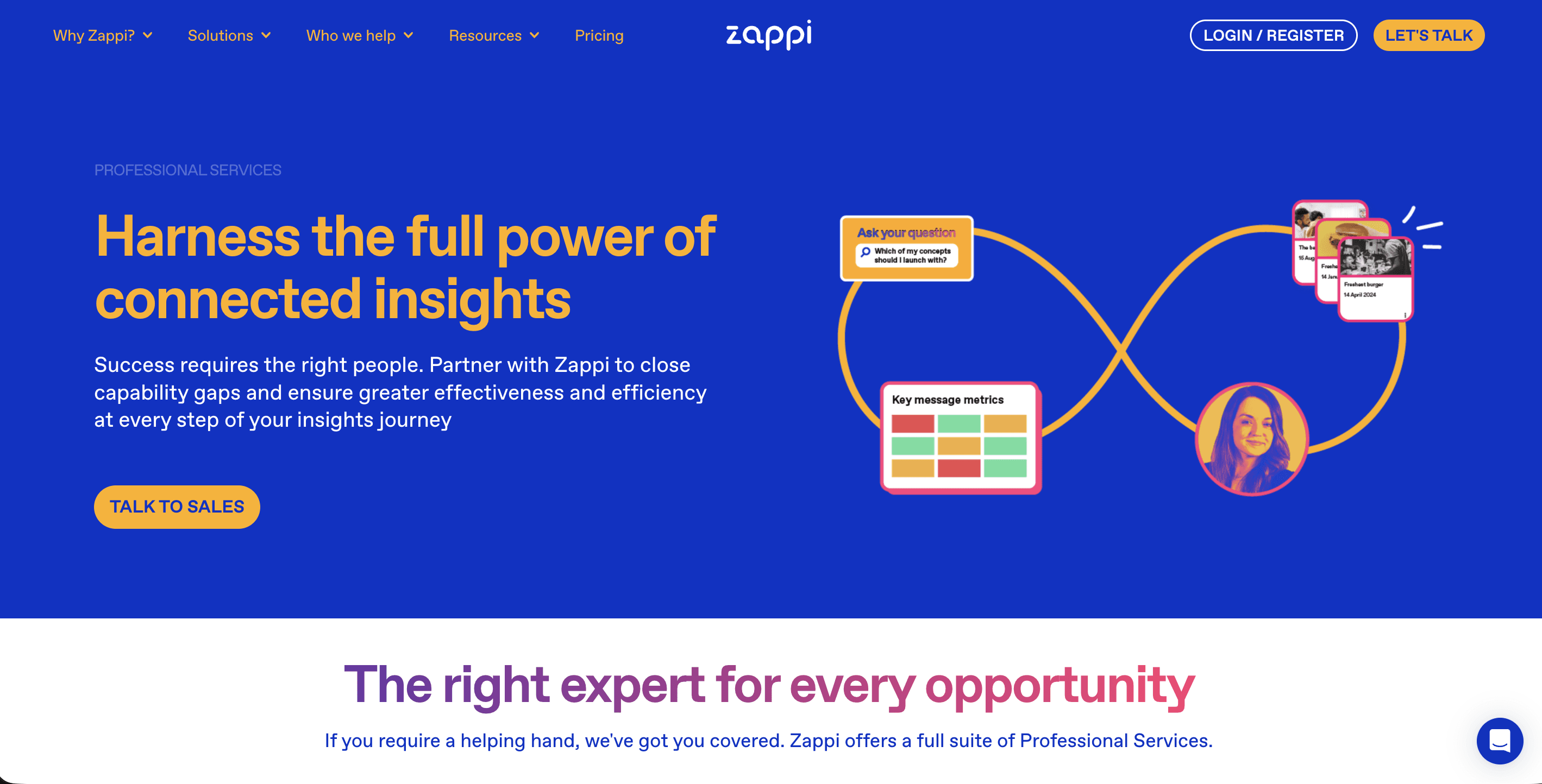 Consumer Insights and Market Research Website Dashboard for Zappi