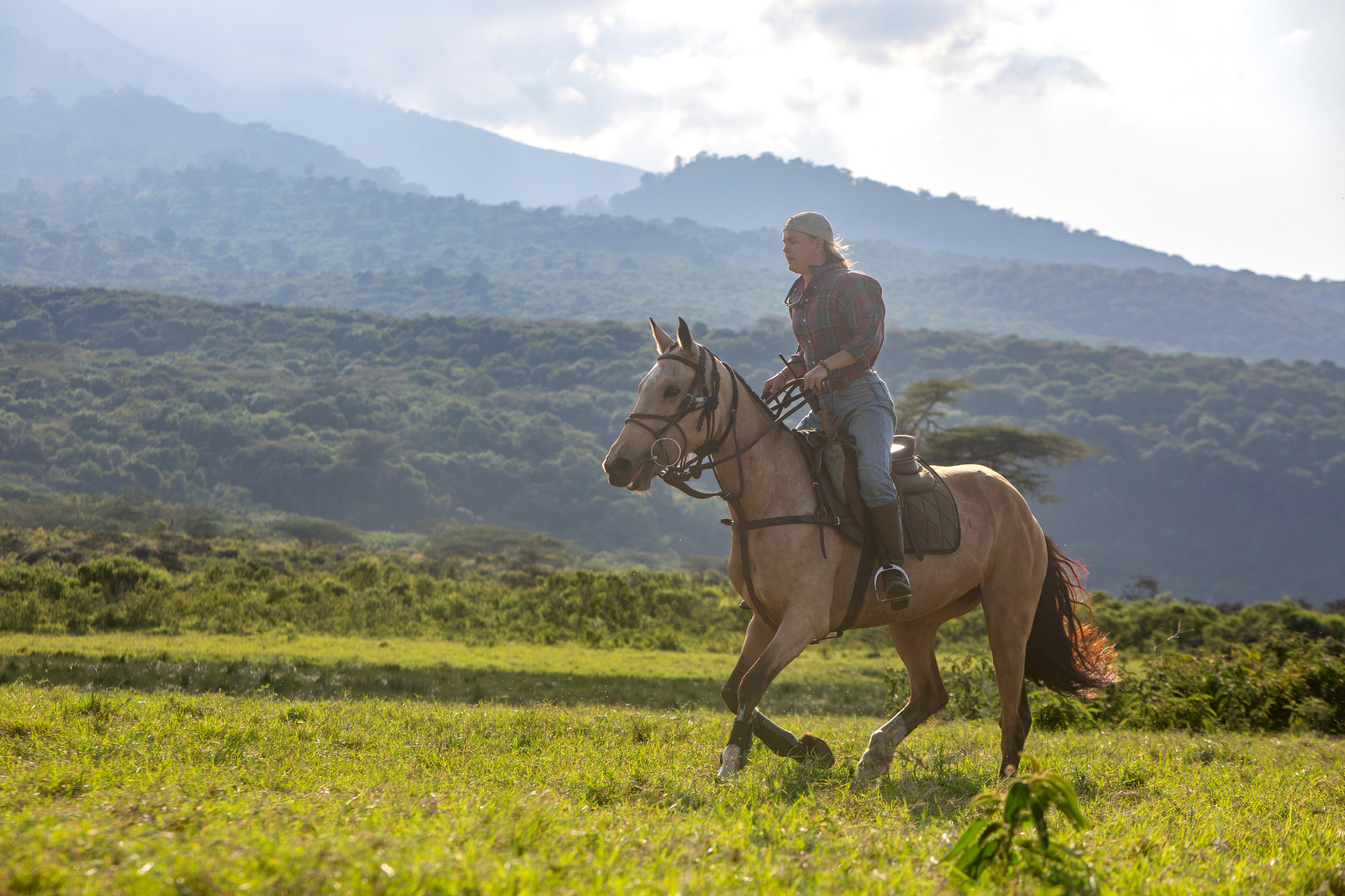 Kilimanjaro Elephant Ride, Arusha National Park, Tanzania – elefant i högt gräs tittar mot kameran, medan fem ryttare till häst på ridsafari i bakgrunden betraktar elefanten i ett grönt och frodigt landskap.