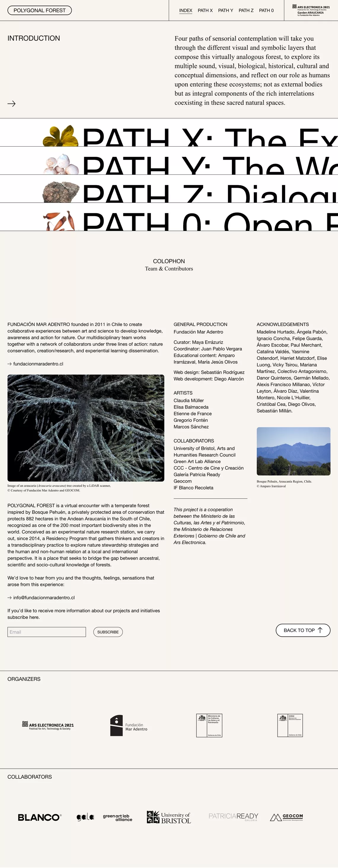 Polygonal Forest other page screenshot showcasing Travel and Art design