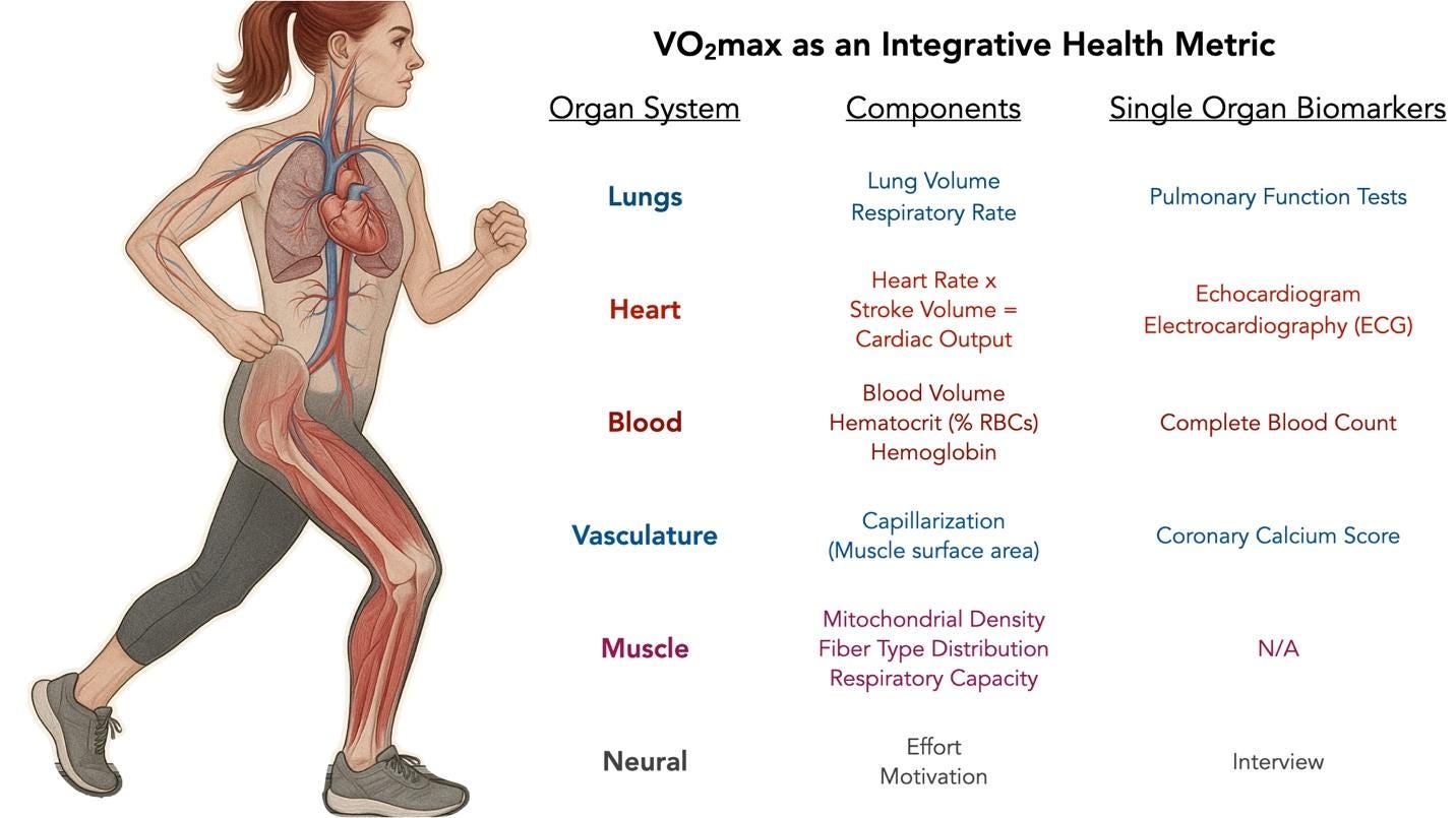 A diagram of a person running

AI-generated content may be incorrect.